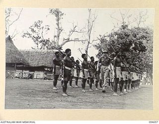 TOL AREA, NEW BRITAIN. 1945-08-02. NATIVE TROOPS, MEMBERS OF THE ALLIED INTELLIGENCE BUREAU (AIB), ON PARADE, BEING INSPECTED BY LIEUTENANT J.B. (JACK) RANKEN