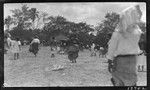 Group of men, women and children walking about