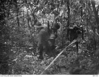 A FIGHTING PATROL FROM C COMPANY, 2/1 INFANTRY BATTALION WITH SIGNALLERS AND A FORWARD OBSERVATION OFFICER MOVING THROUGH ROUGH COUNTRY, TO FIND AN APPROACH FOR AN ATTACK AGAINST THE 1800 FEATURE ..