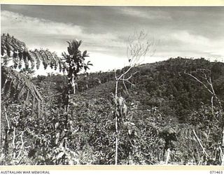 SATTELBERG, NEW GUINEA, 1944-03-27. SATTELBERG FROM COCONUT RIDGE, AN OPERATIONAL AREA OF THE 26TH INFANTRY BRIGADE