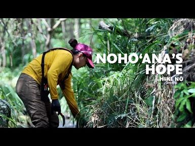 Addressing the Climate Crisis at Nohoʻana Farms on Maui | HIKI NŌ - PBS HAWAIʻI