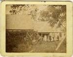 Bartlett's first store at Collingwood Street, Albion, Brisbane, 1893