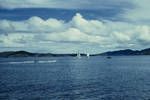 Sailing and water ski-ing, PM [Port Moresby], [Papua New Guinea], Apr 1962