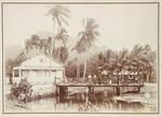 Scene, Avarua Village, Rarotonga