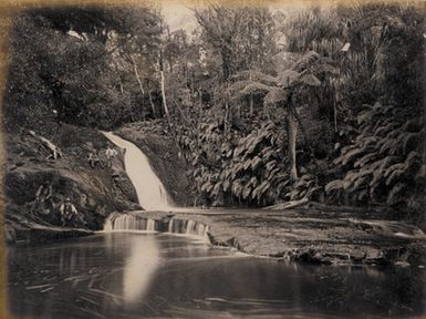 [A small waterfall in the Waitakere Ranges]