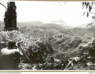 WELLS OBSERVATION POST, NEW GUINEA, 1943-08-09. INFANTRY OBSERVER OF THE 2/6TH AUSTRALIAN FIELD REGIMENT WATCHING JAPANESE IN SALAMAUA