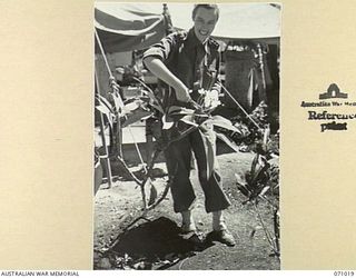 HELDSBACH MISSION, FINSCHHAFEN AREA, NEW GUINEA. 1944-03-13. NFX70245 SISTER N.G. LUKE, OF THE 2/3RD CASUALTY CLEARING STATION, AUSTRALIAN ARMY NURSING SERVICE (AANS), PICTURED PICKING FRANGIPANI ..