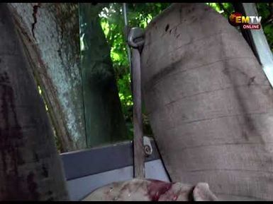 Over a Dozen Injured in PMV Bus Crash Near Port Moresby Nature Park