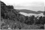 Sinalagu Harbour from taro gardens at about 1500