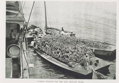 Loading bananas for the New Zealand trade