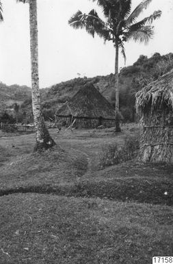 huts, trees, houses, building, palm trees, photography, ph