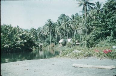 Dr Leo's hospital : Bougainville Island, Papua New Guinea, 1960 / Terence and Margaret Spencer