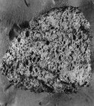 Vesicular basalt brought up by oceanographic instruments from 6,000 feet, near slope of the Bikini Atoll