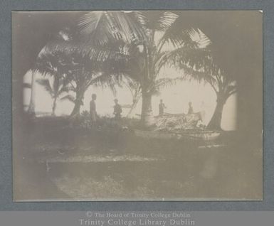 Photograph of a group of Samoan men with fishing boats under palm trees in Apia, Samoa