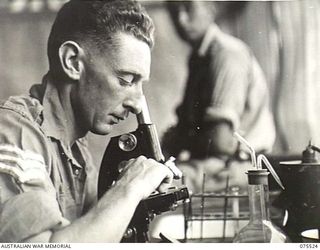 MADANG, NEW GUINEA. 1944-08-25. SX3038 SERGEANT L.R. MOSS, CHECKING A BLOOD SMEAR FOR MALARIA IN THE PATHOLOGICAL LABORATORY OF THE 2/11 GENERAL HOSPITAL