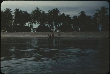 Further along the coral atoll beach (2) : Mortlock Islands, Papua New Guinea, 1960 / Terence and Margaret Spencer