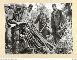 1943-01-27. PAPUA. SANANANDA AREA. A STACK OF RIFLES AND LIGHT MACHINE GUNS CAPTURED FROM THE JAPANESE AT SANANANDA