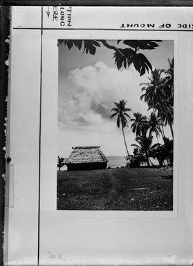 Fiji, showing hut and palm trees