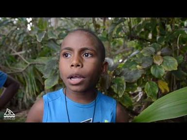 NC - La mangrove expliquée aux enfants de Goro - Province Sud / INTEGRE