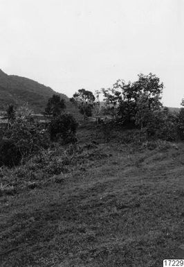 ["skog, landskap, by, berg, fotografi, photograph"]