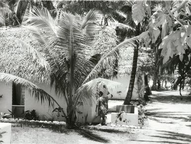 Pacific Islands - Cook Islands - Rarotonga - Housing