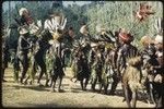 Pig festival, singsing, Kwima: dancers in feather and fur headdresses, man (r) wears red wig