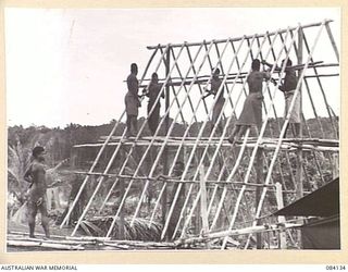 WUNUNG PLANTATION, JACQUINOT BAY, NEW BRITAIN. 1944-12-08. NATIVE TROOPS WORKING WITH THE ALLIED INTELLIGENCE BUREAU, AT WORK BUILDING A MESS HUT