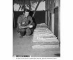 J. I. Tracy looking at core samples from drill holes made on Bikini Island, summer 1947