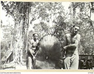 BOUGAINVILLE ISLAND, 1944-11-17. WX15929 SAPPER F.G. LADIGES (1) AND WX15926 SAPPER V.R. RAPER (2) OF THE 2/2ND FORESTRY COMPANY CARRYING A LARGE CIRCULAR SAW BACK INTO THE MILL AFTER SHARPENING