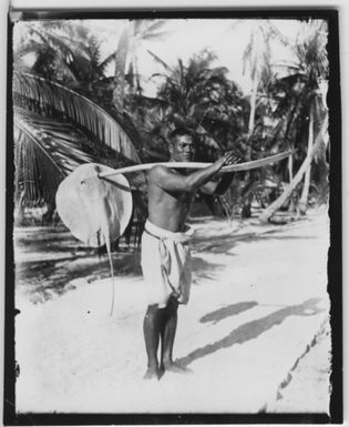 "A man has a stingray encountered on a stick, palms in the background, carrying it over his shoulder. : See photon. 4349-4351and 4352: 1-7. "