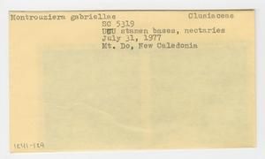 [Montrouziera gabriellae in New Caledonia, envelope IE41-129]