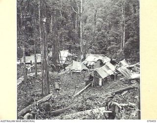 KANKIRYO SADDLE, FINISTERRE RANGE, NEW GUINEA, 1944-02-15. "D" COMPANY, 57/60TH INFANTRY BATTALION, MOVING UP KANKIRYO SADDLE IN THEIR MARCH TO RELIEVE THE 2/9TH INFANTRY BATTALION AT THE PROTHERO ..