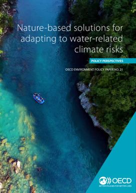 Nature-based solutions for adapting to water-related climate risks - Policy perspectives