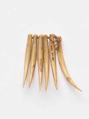 Wasekaseka (sperm whale tooth necklace)
