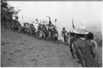 Pig festival, pig sacrifice, Tsembaga: decorated men have run from behind ritual fence, dance to gate to dig up cordyline roots