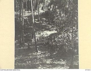 ILOLO, NEW GUINEA, 1944-03-30. MEMBERS OF THE NATIVE LABOUR CAMP, AUSTRALIAN NEW GUINEA ADMINISTRATIVE UNIT CROSS A BRIDGE WITH TIMBER FELLED FROM A NEARBY HILL