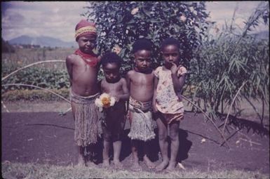 Some of our visitors, four Indigenous children : Minj Station, Wahgi Valley, Papua New Guinea, 1954 / Terence and Margaret Spencer