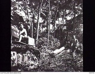 DONADABU, NEW GUINEA. 1943-11-09. TX6683 SAPPER (SPR) A. H. HOLMES OF THE 9TH AUSTRALIAN WORKSHOPS AND PARKS COMPANY, ROYAL AUSTRALIAN ENGINEERS HAULING LOGS OUT OF THE JUNGLE WITH A CRAWLER ..