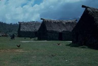 [Thatched dwellings in Suva, Fiji]