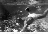 Ralph F. Palumbo collecting specimens in the shallow water of Bikini Lagoon, summer 1964