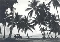 Ninth General Hospital. World War II. Goodenough, New Guinea.
