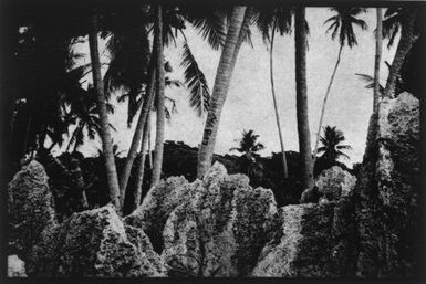 Nauru (carved palm, coastal fringe)