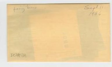 [Fairy terns in Hawaii, envelope IE29-134]