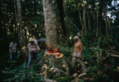 Canoe Making in Niue