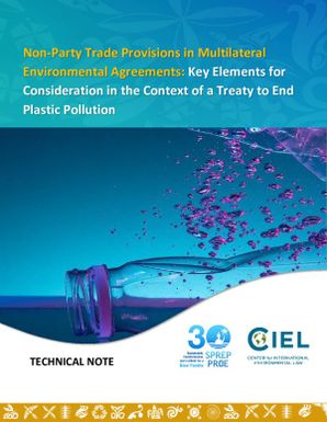 Non-Party Trade Provisions in Multilateral Environmental Agreements: Key Elements for Consideration in the Context of a Treaty to End Plastic Pollution