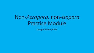 Non-Digitate Acropora, non-Isopora practice module