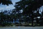 Sea front, Port Moresby, 1959?