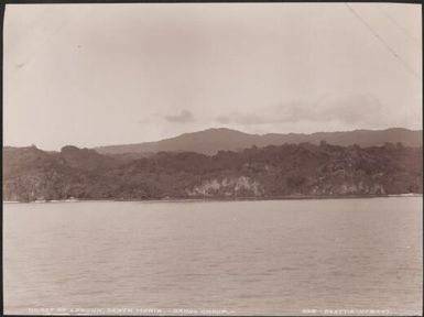 Coast at Lakona on Santa Maria, Banks Islands, 1906 / J.W. Beattie