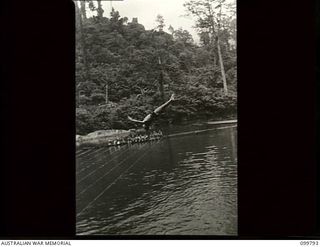 Torokina, Bougainville. 1945-11-04. VX109807 Signalman R. Stokes winning the three metre board diving championship at the 3 Australian Division swimming carnival at the Bush Swimming Pool