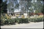 Mount Hagen: government buildings